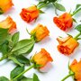 Brievenbus Rozen oranje liggend